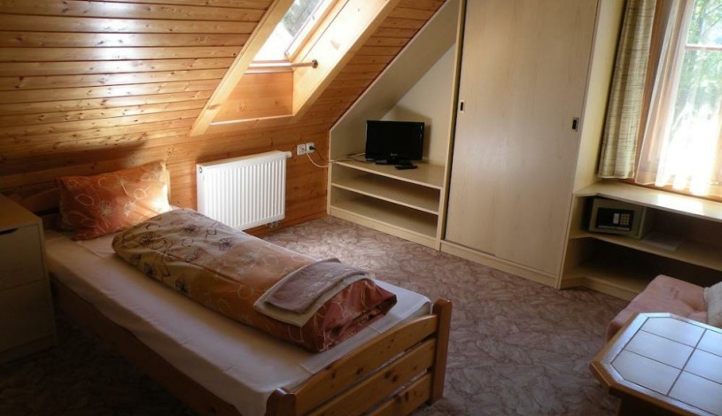 Hotel Lesní dům Janské Lázně - Jednolůžkový pokoj